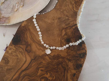 Shell Pedants with Freshwater Baroque Pearl Necklace